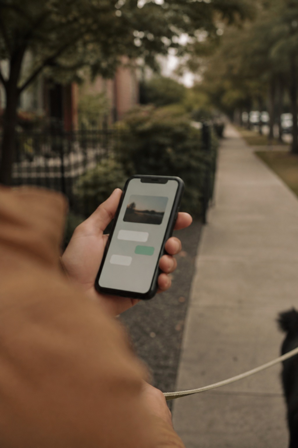 A phone showing a Pawside visit summary held in one hand on a walk