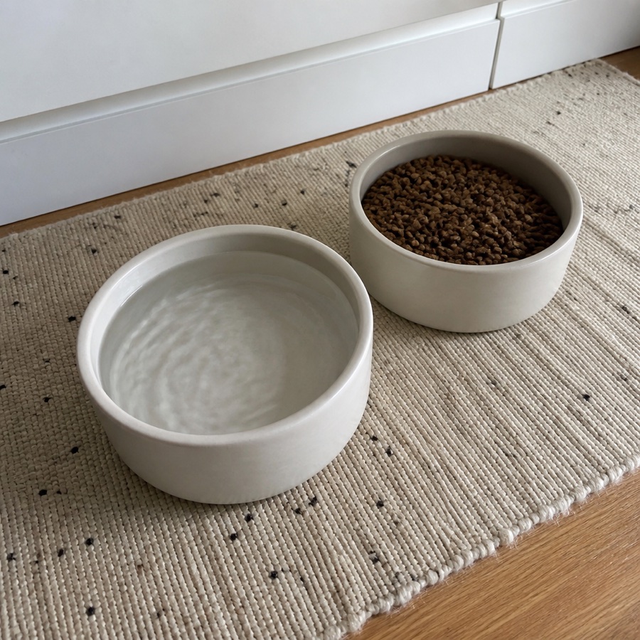 A freshly filled water bowl and a full food bowl on a kitchen mat